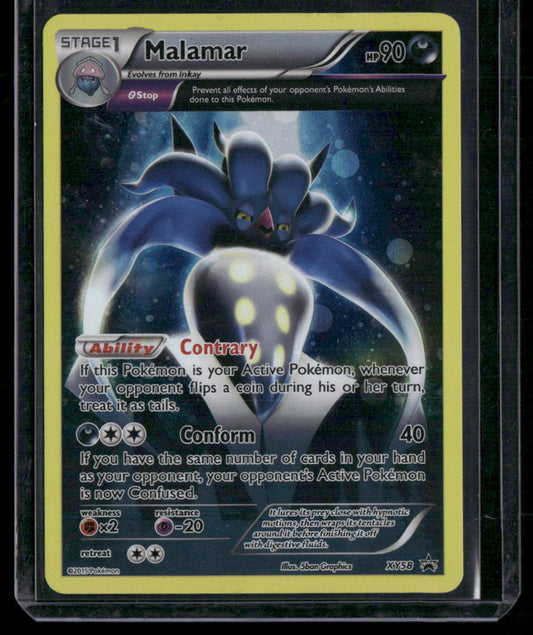 Malamar #XY58